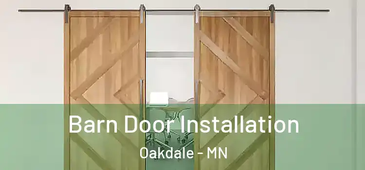  Barn Door Installation Oakdale - MN