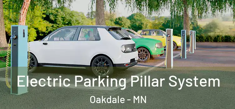  Electric Parking Pillar System Oakdale - MN