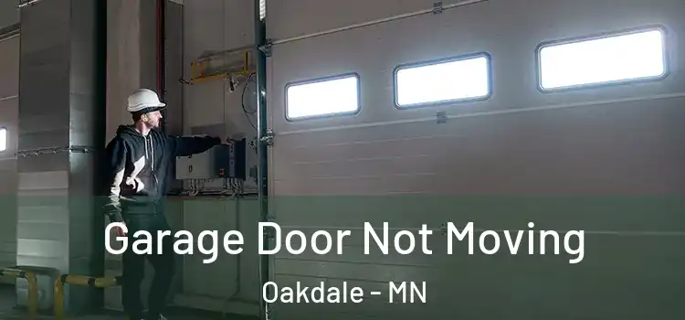  Garage Door Not Moving Oakdale - MN