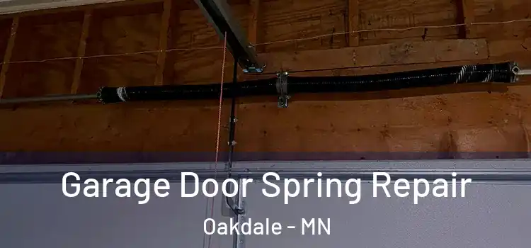  Garage Door Spring Repair Oakdale - MN