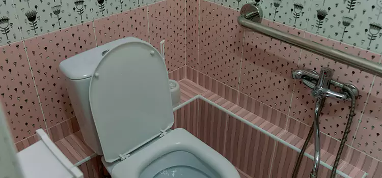 Meeting Diverse Needs With Accessible Restroom Solutions in Oakdale, MN
