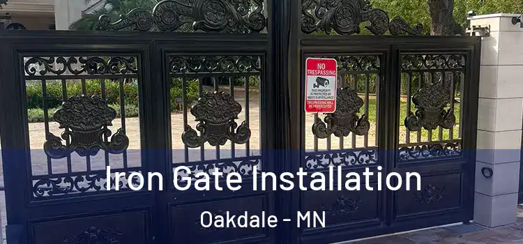 Iron Gate Installation Oakdale - MN