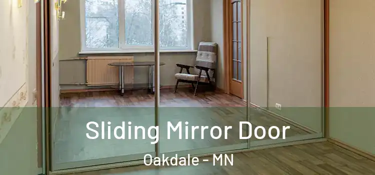  Sliding Mirror Door Oakdale - MN